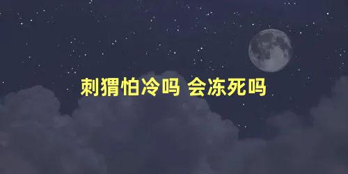 刺猬怕冷吗 会冻死吗